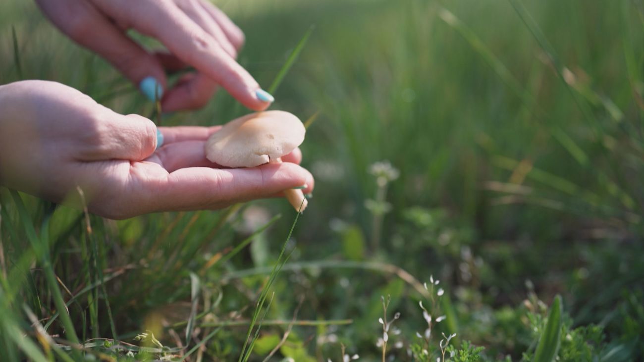 Aquí se hace 02.06.2025