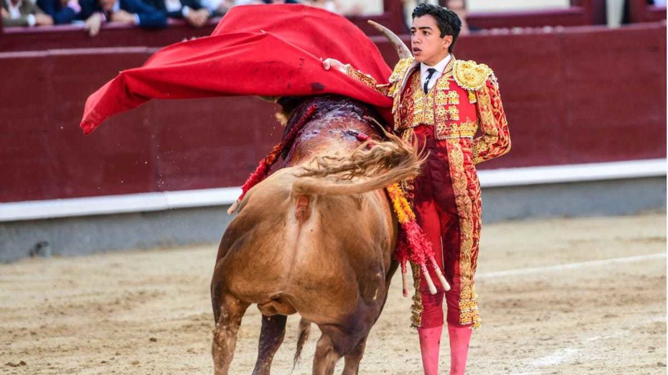 La firma de Zabala de la Serna: La preocupante inhumanidad de Las Ventas con Marco y la cantera.