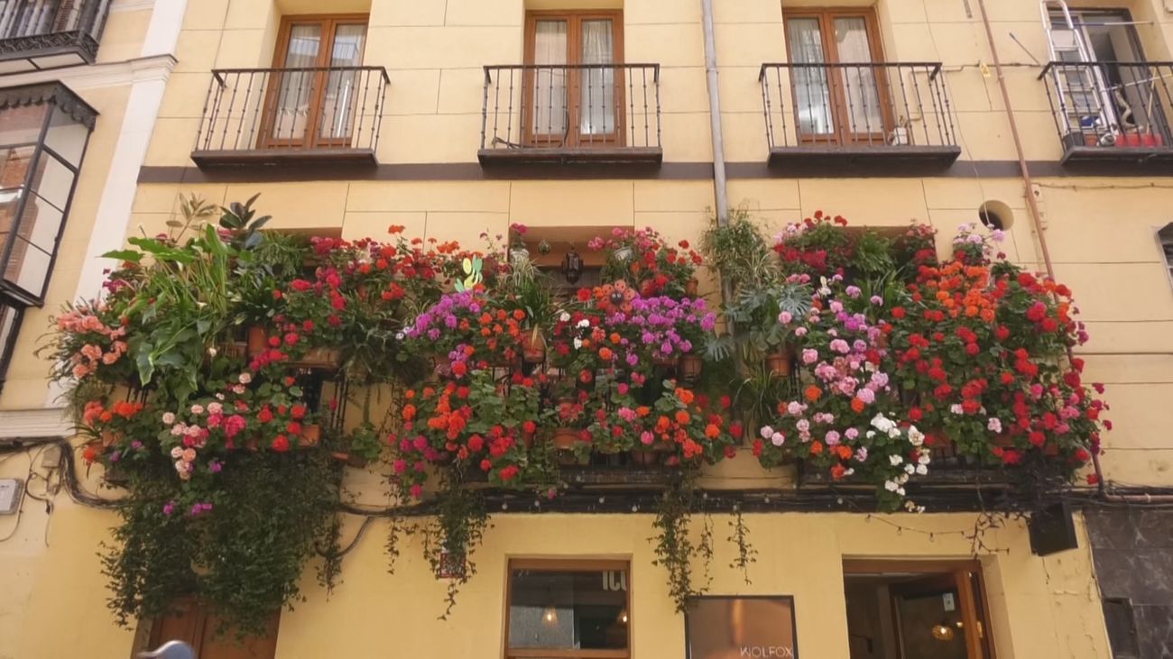 El secreto detrás del balcón más colorido de Fuencarral