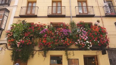 El secreto detrás del balcón más colorido de Fuencarral