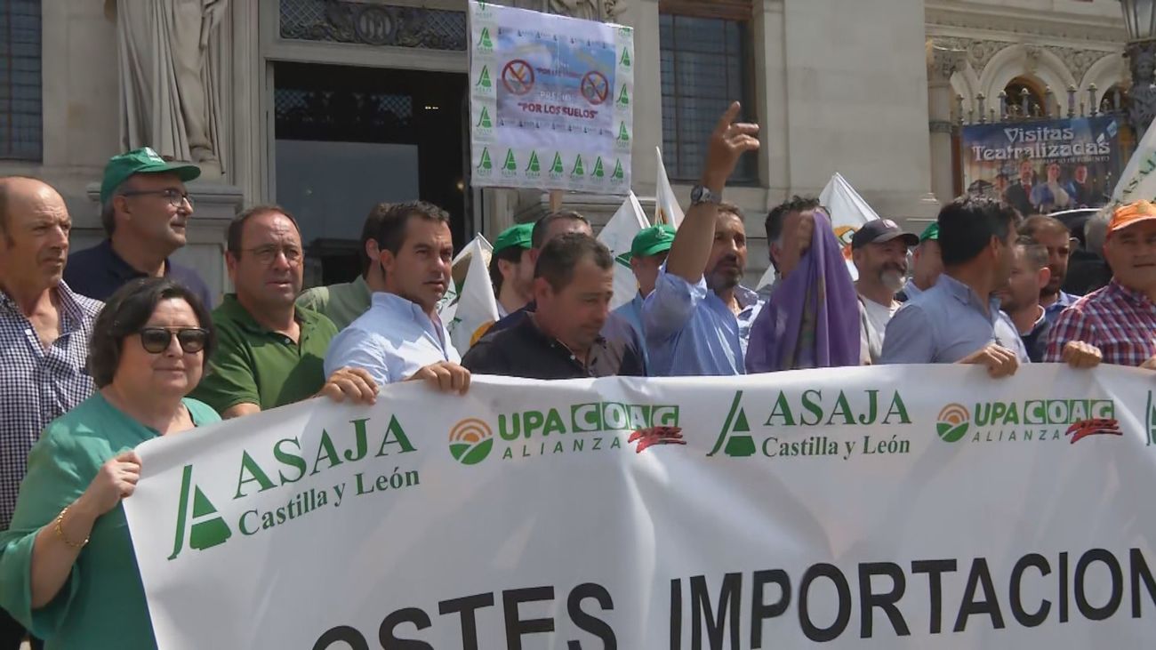 Nueva protesta del campo contra el Gobierno, ahora el sector del cereal