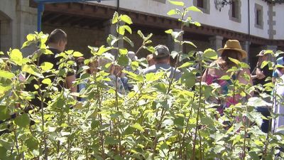 Guadarrama celebra el Día del Medio Ambiente con el reparto de árboles y plantas