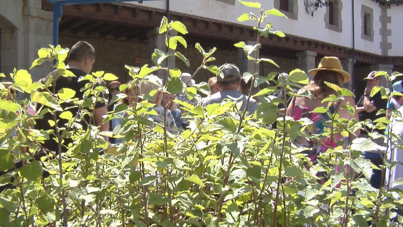 Guadarrama celebra el Día del Medio Ambiente con el reparto de árboles y plantas