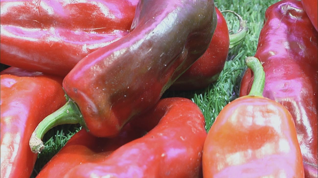 Madrid mejora tu vida 07.06.2025