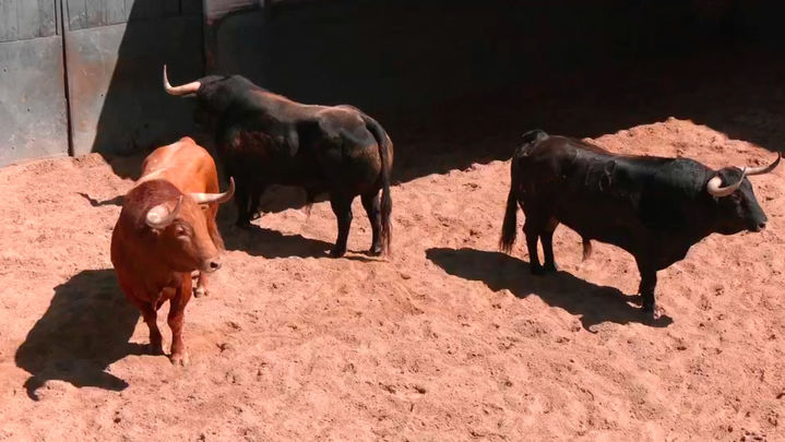 Las Ventas / Redacción