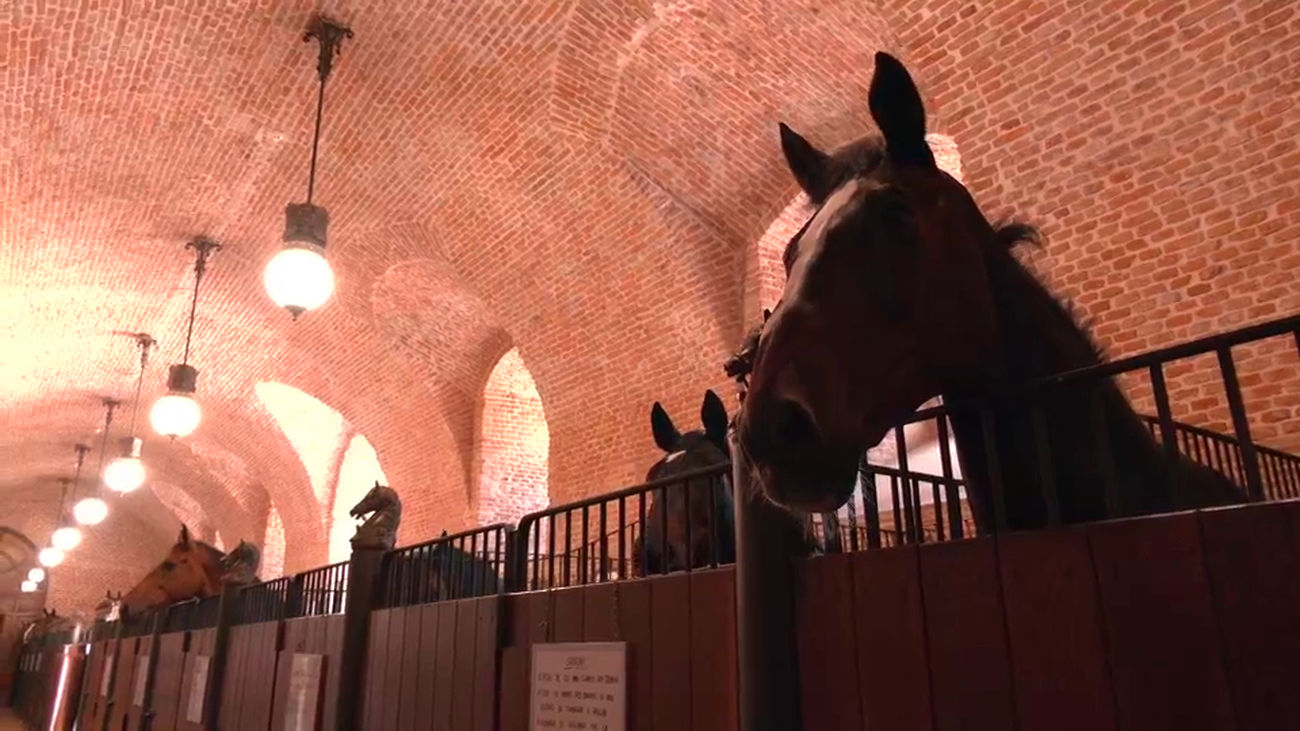 Las caballerizas reales evolucionan desde su creación con Carlos III