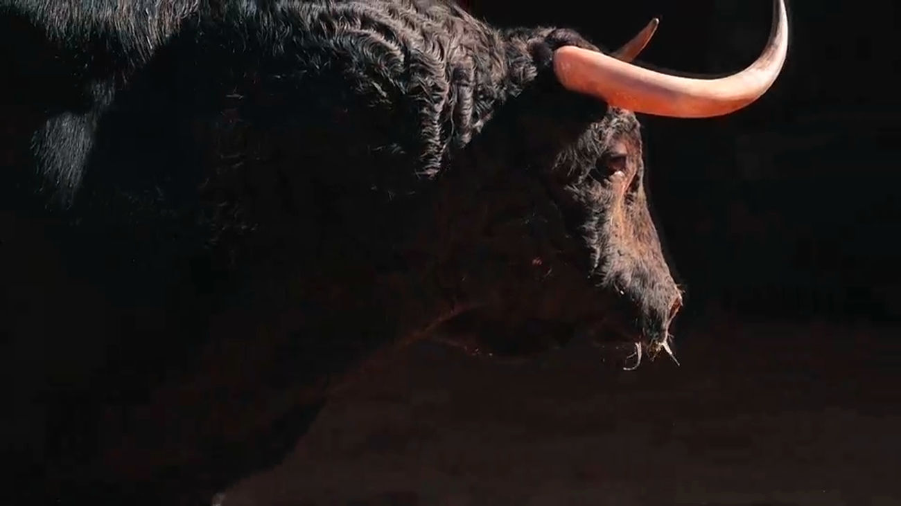 ¿Cuál es la función de un veterinario taurino de Las Ventas?