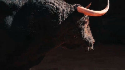 ¿Cuál es la función de un veterinario taurino de Las Ventas?