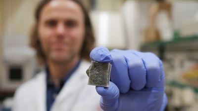 Algas que producen electricidad y previenen incendios