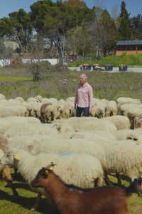 Cómo funciona Madrid: sector primario