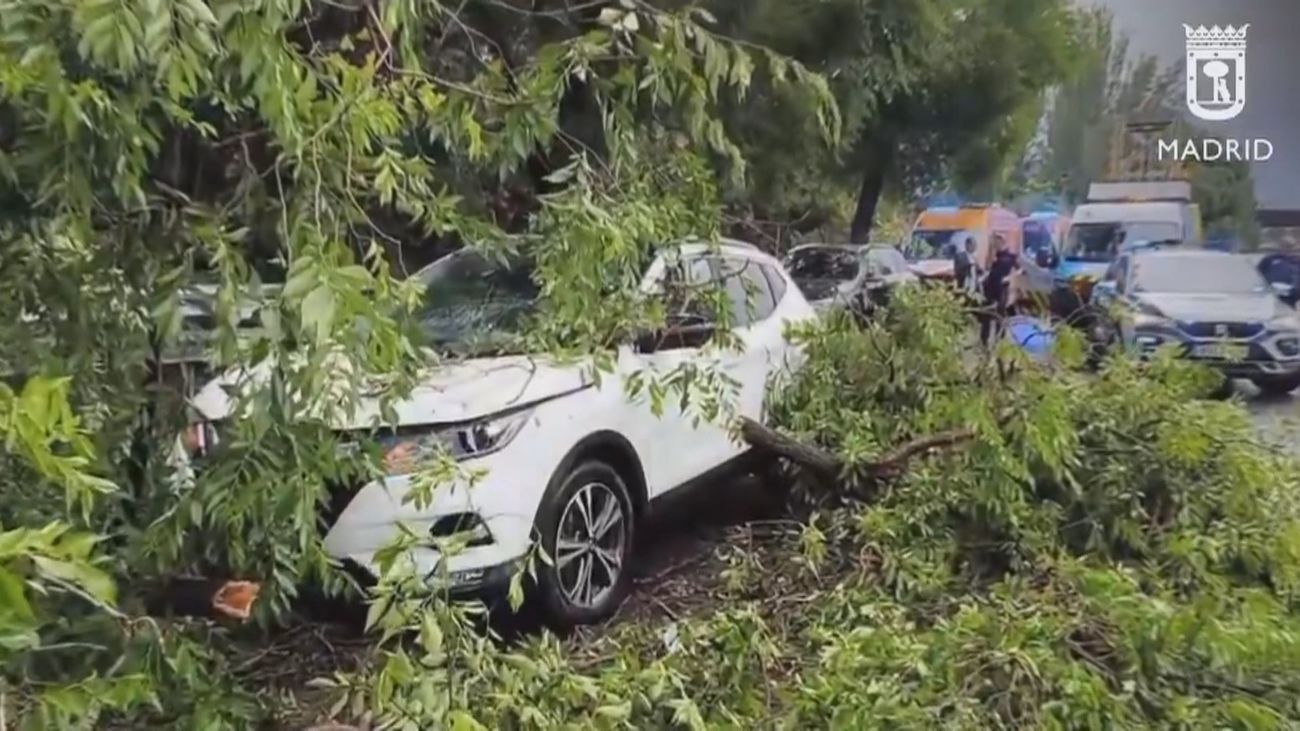 Un árbol cae sobre un coche en la M-30 como consecuencia de la tormenta