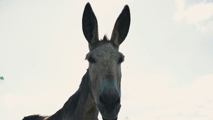 Enamorados de Madrid_ Cap_ 52_47053 / Redacción