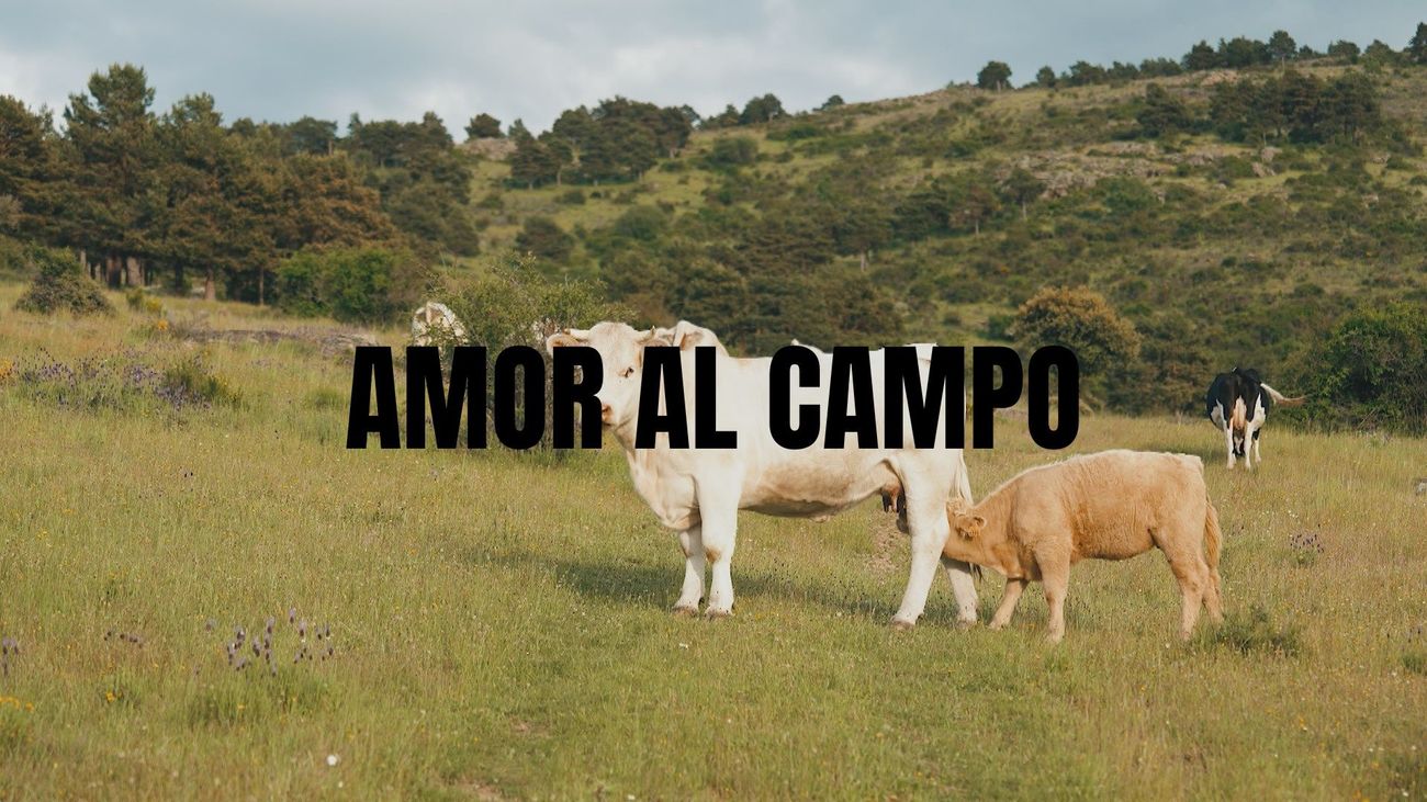 Enamorados de Madrid: amor al campo