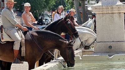 Vuelven los caballos al Rocío en Arganda del Rey tras estar prohibidos durante años