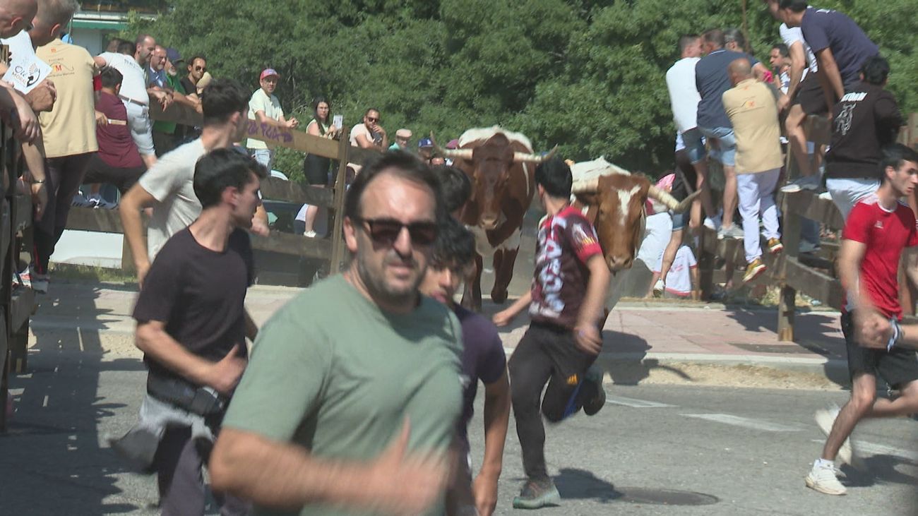Encierro corto pero intenso en las fiestas de Collado Villalba