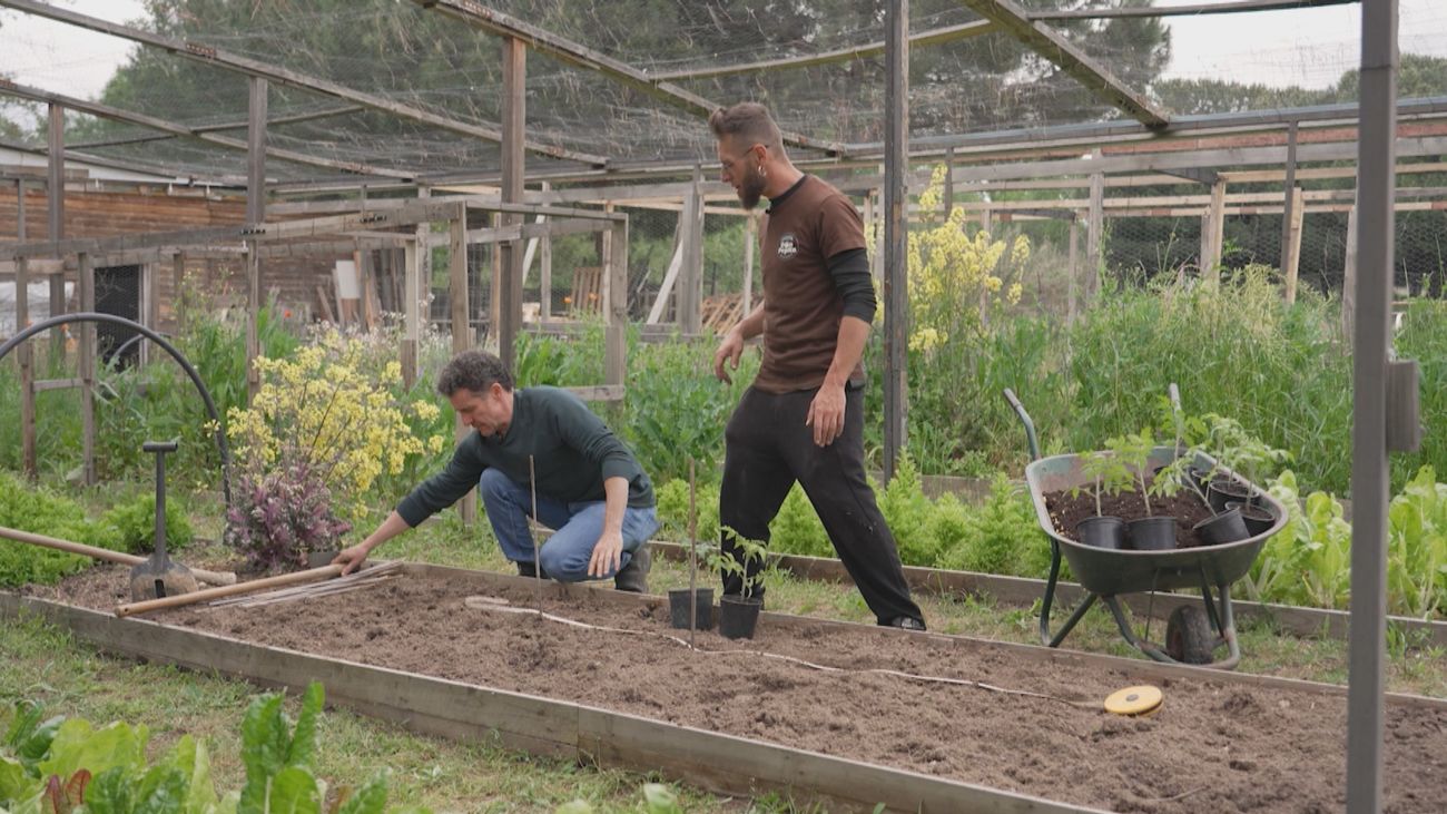 Huerta Don Pepito: agricultura familiar de cercanía junto al Monte de El Pardo