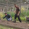 Huerta Don Pepito: agricultura familiar de cercanía junto al Monte de El Pardo