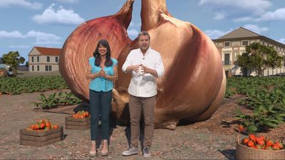 Disfruta la primavera 15.06.2025