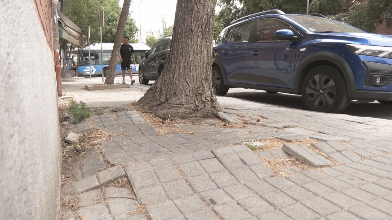 Deterioro y abandono en Puerto Chico, Aluche: los vecinos piden soluciones inmediatas