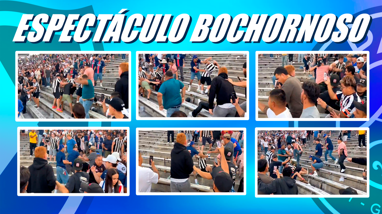 Lamentable pelea en las gradas entre aficionados del PSG y Botafogo