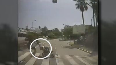 Un coche atropella a una mujer y a su bebé en un paso de cebra en Marbella