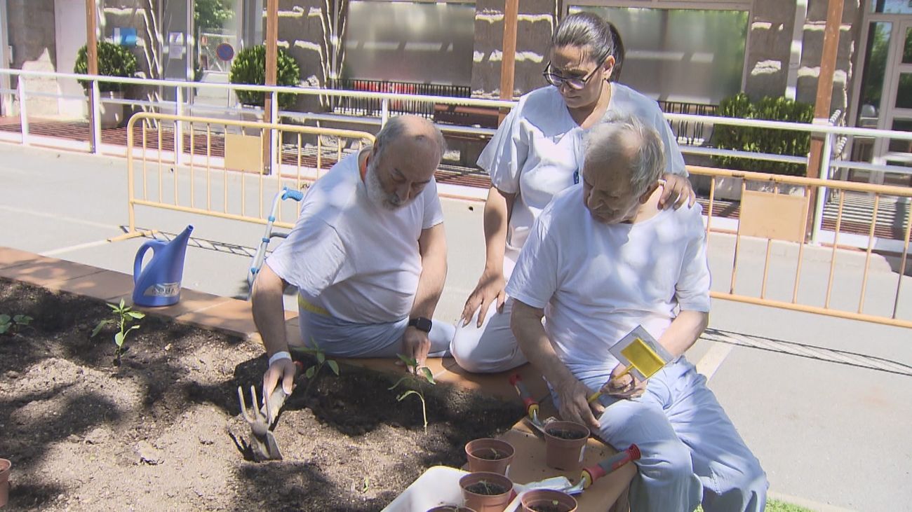 El Hospital de Guadarrama lleva a sus pacientes al huerto: "Los avances son increíbles"