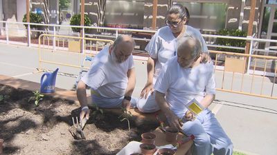 El Hospital de Guadarrama lleva a sus pacientes al huerto: "Los avances son increíbles"