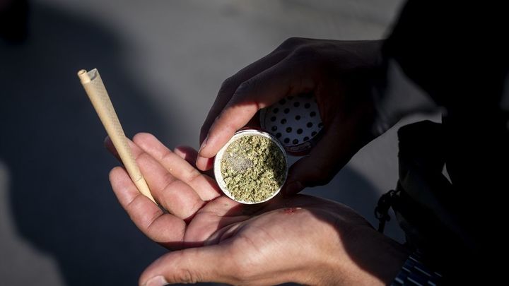 Una persona con marihuana / EUROPA PRESS