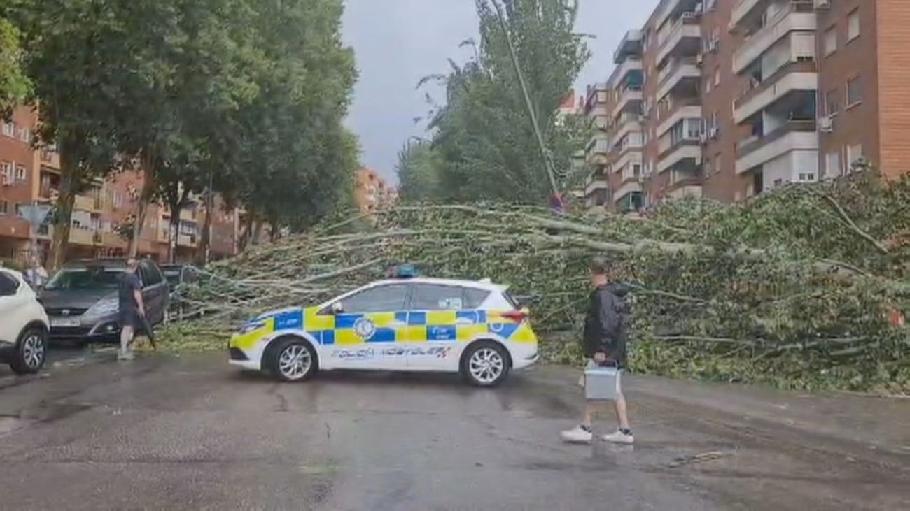 Fuertes rachas de viento provocan caída de árboles y daños en la vía pública y viviendas del sur de Madrid