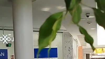 Los clientes graban el momento del robo en la joyería del Parquesur: "¡Sinvergüenzas!"