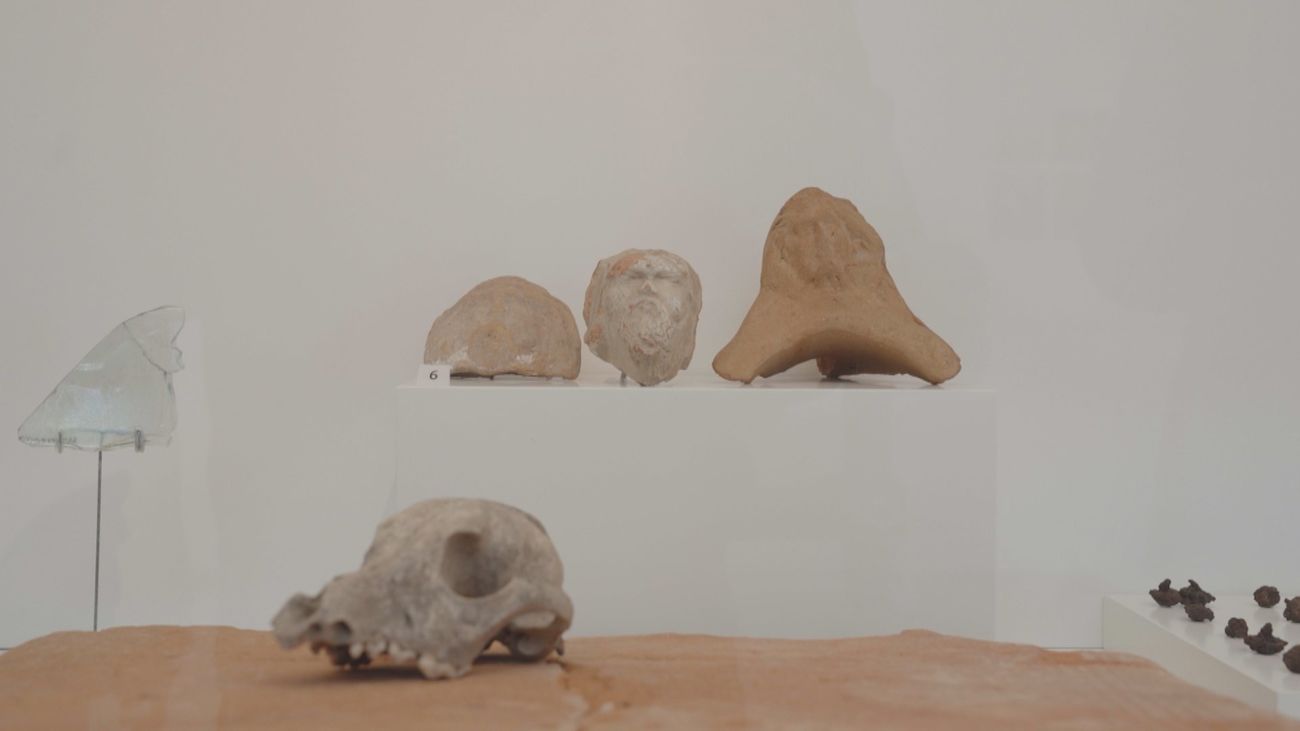 Recorremos la Ciudad Romana de Complutum, en Alcalá de Henares