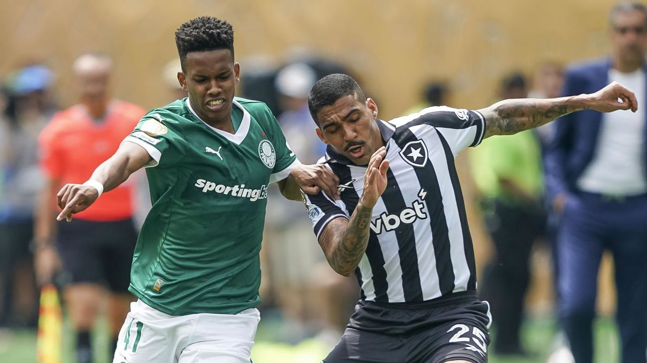 Palmeiras - Botafogo