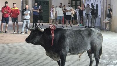 Un madrileño de 29 años, herido grave en los encierros de Coria, Cáceres