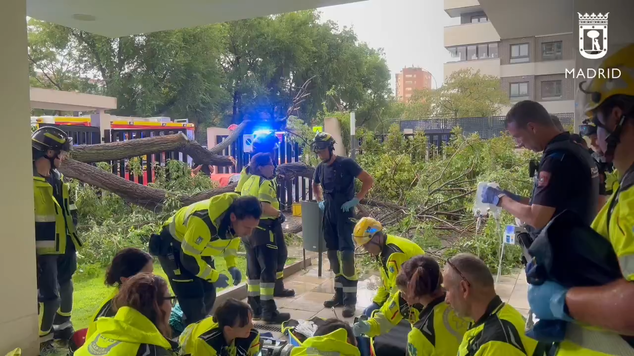 Una mujer herida de gravedad en Moncloa por la caída de un árbol