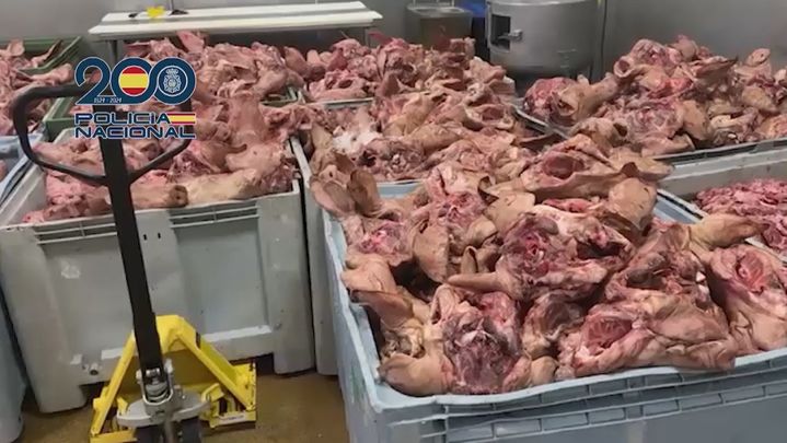 Contenedores de carne putrefacta incautados por la Policía / Policía Nacional