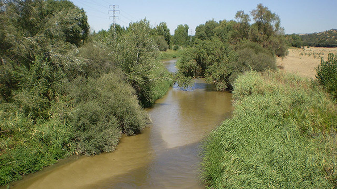 El río Guadarrama a su paso por Navalcarnero