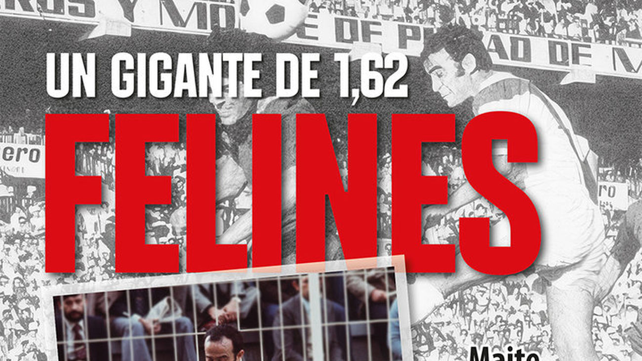 Felines, un gigante de 1,62