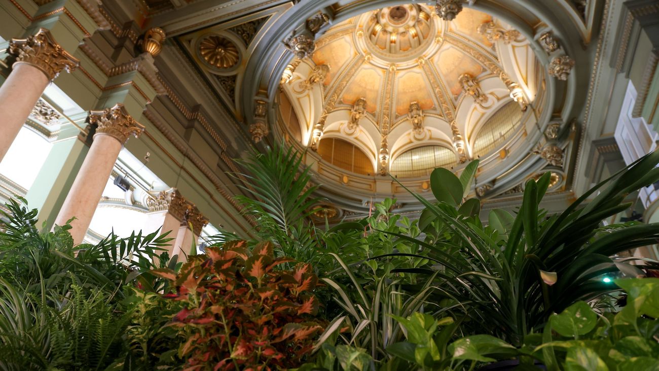 Botánica y cultura se unen en tres espacios de Madrid con plantas del vivero municipal