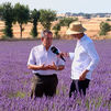 La Alcarria Madrileña se viste de lavanda
