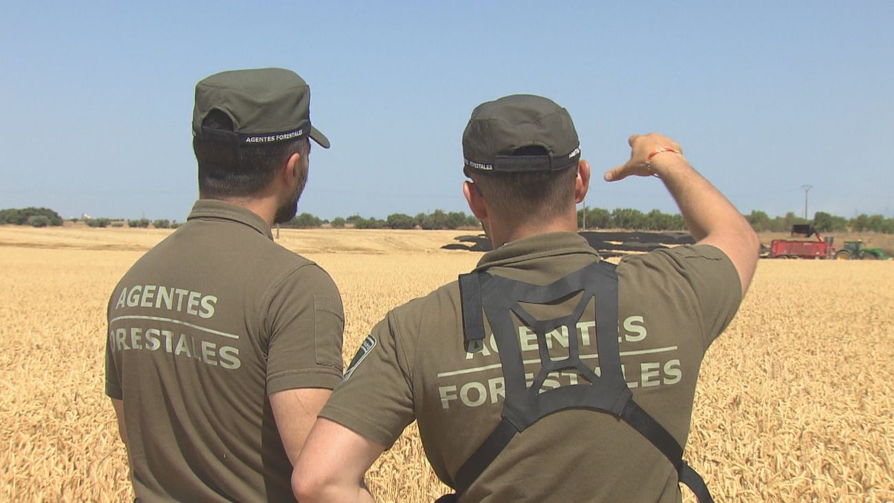 Agentes forestales vigilan la maquinaria agrícola para evitar incendios en el campo madrileño