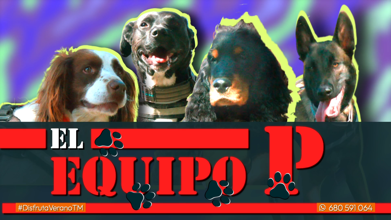 El Equipo P siempre acompaña a los Agentes Forestales