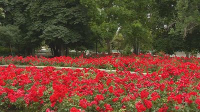 Madrid mejora tu vida 06.07.2025