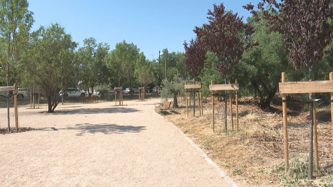 Nuevas zonas verdes y accesibles para la renaturalización de la Colonia de Santa María