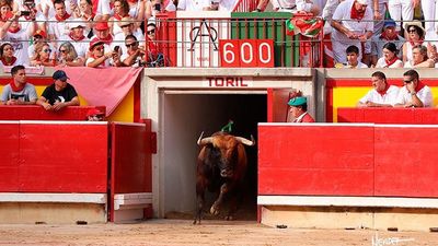 La firma de Zabala de la Serna: Pamplona, todo en torno al toro