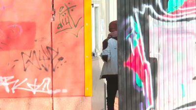 La Comunidad de Madrid  llevará ante los tribunales y la UE  la situación de la inmigración en la región