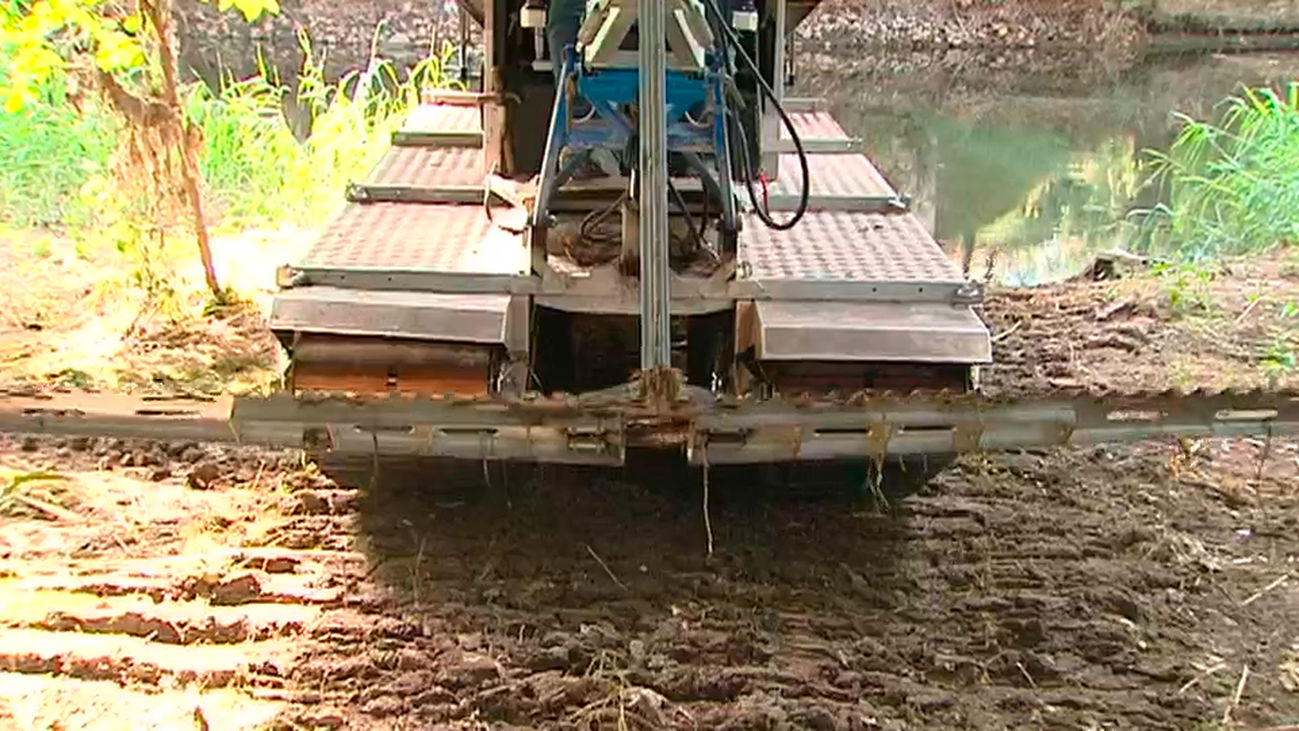 Torrejón combate la mosca negra con una barca anfibia en el río Henares