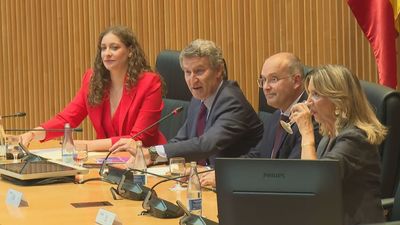 Feijóo pide a sus diputados y senadores una "oposición contundente" contra Sánchez