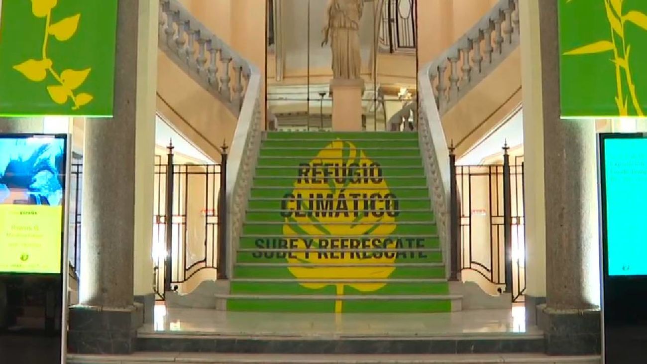 Bienvenidos al siestódromo del Círculo de Bellas Artes, un refugio climático para hacer frente al calor