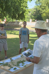 Campamento 'Modo avión' en Alcalá: 50 adolescentes sin móviles durante 10 días