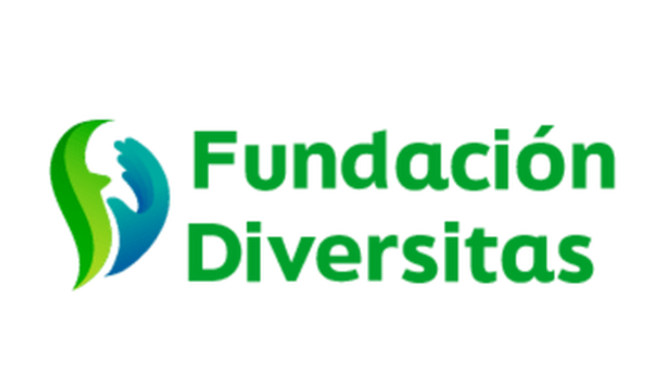 Fundación Diversitas: apoyo integral y empleo para personas en riesgo de exclusión en Madrid